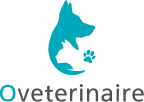 Interakt Logo